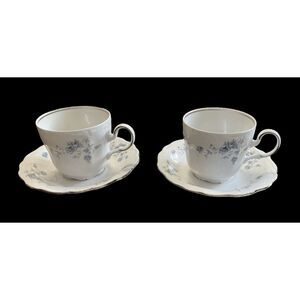 Johann Haviland Blue Garland Coffee Tea Cup & Saucer 70s Bavaria Germany Vintage